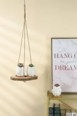Set Van 2 Boomstam Rond Wandrek Plantenhangers - Boho Jute Houten Plantenrek - Hangpot Voor Binnen/Buiten - Hangende Bloempot Plank - Hangplant Houder - Bohemian Macrame Stijl Wandhanger - Hangplank Plant Hanger - Planthanger - Ø Rond 25-20cm -Tuin En Buiten 799x1200 21