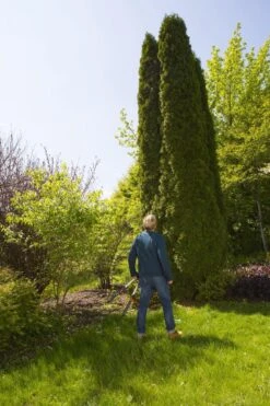 GARDENA TeleCut Heggenschaar - Telescopische Handgrepen Van 70-90 Cm 16 GARDENA TeleCut Heggenschaar - Telescopische Handgrepen Van 70-90 Cm -Tuin En Buiten 799x1200 4