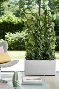 Elho Vivo Structure Finish Lang 90 - Plantenbak Voor Binnen & Buiten - Ø 88 X H 41 - Wit 34 Elho Vivo Structure Finish Lang 90 - Plantenbak Voor Binnen & Buiten - Ø 88 X H 41 - Wit -Tuin En Buiten 800x1200 45