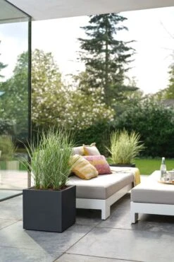 Elho Vivo Next Vierkant 40 - Plantenbak Voor Binnen & Buiten - Ø 39.0 X H 37.9 Cm - Zwart/Living Black 26 Elho Vivo Next Vierkant 40 - Plantenbak Voor Binnen & Buiten - Ø 39.0 X H 37.9 Cm - Zwart/Living Black -Tuin En Buiten 800x1200 46