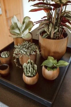 Capi Europe - Bloempot Bol Groove - 23x21 - Goud - Bloempot Voor Binnen - BGVGB134 -Tuin En Buiten 800x1200 49