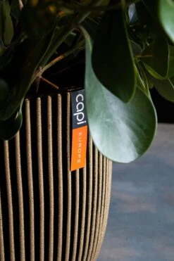 Capi Europe - Bloempot Bol Groove NL - 35x34 - Goud - Voor Binnen En Buiten - KGVGB932 -Tuin En Buiten 800x1200 52