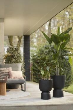 Elho Pure Coupe 41 - Bloempot Voor Binnen & Buiten - Ø 41.3 X H 57.9 Cm - Zwart/Zwart 17 Elho Pure Coupe 41 - Bloempot Voor Binnen & Buiten - Ø 41.3 X H 57.9 Cm - Zwart/Zwart -Tuin En Buiten 800x1200 54