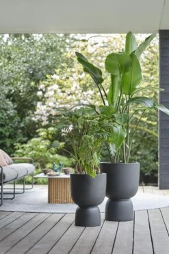 Elho Pure Coupe 41 - Bloempot Voor Binnen & Buiten - Ø 41.3 X H 57.9 Cm - Zwart/Zwart 27 Elho Pure Coupe 41 - Bloempot Voor Binnen & Buiten - Ø 41.3 X H 57.9 Cm - Zwart/Zwart -Tuin En Buiten 800x1200 55