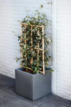 Capi Europe - Bloempot Vierkant Smooth NL - 50x50x50 - Zwart - Voor Binnen En Buiten - KBL904 -Tuin En Buiten 800x1200 56
