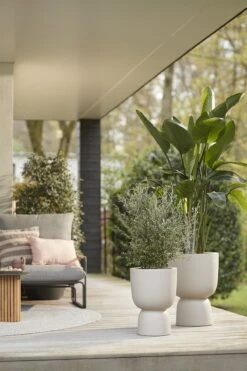 Elho Pure Coupe 35 - Bloempot Voor Binnen & Buiten - Ø 34.9 X H 49.0 Cm - Beige/Balanced Beige 22 Elho Pure Coupe 35 - Bloempot Voor Binnen & Buiten - Ø 34.9 X H 49.0 Cm - Beige/Balanced Beige -Tuin En Buiten 800x1200 59