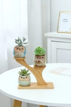 Luxe Bamboe Houten Boom Met 3 Keramiek Uil Bloempotten/Plantenpotten Op Standaard/Voet Voor Binnen En Buiten - Modern Design Bloempot/Plantenpot Op Poten/Pootjes-Plantenbak Mini Cactus Nep Plant Pot Houder - Kleine Bloembakken Plantenrek/Plantenkurk 14 Luxe Bamboe Houten Boom Met 3 Keramiek Uil Bloempotten/Plantenpotten Op Standaard/Voet Voor Binnen En Buiten - Modern Design Bloempot/Plantenpot Op Poten/Pootjes-Plantenbak Mini Cactus Nep Plant Pot Houder - Kleine Bloembakken Plantenrek/Plantenkurk -Tuin En Buiten 800x1200 62