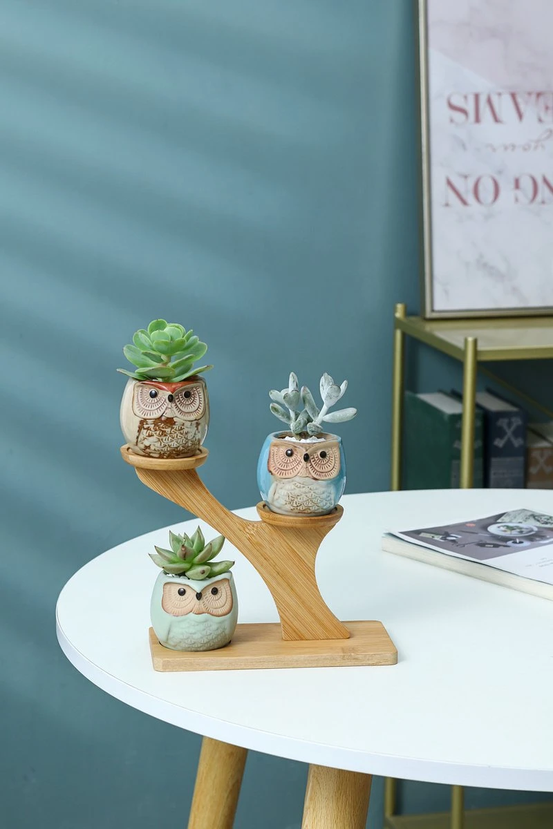 Luxe Bamboe Houten Boom Met 3 Keramiek Uil Bloempotten/Plantenpotten Op Standaard/Voet Voor Binnen En Buiten - Modern Design Bloempot/Plantenpot Op Poten/Pootjes-Plantenbak Mini Cactus Nep Plant Pot Houder - Kleine Bloembakken Plantenrek/Plantenkurk 8 Luxe Bamboe Houten Boom Met 3 Keramiek Uil Bloempotten/Plantenpotten Op Standaard/Voet Voor Binnen En Buiten - Modern Design Bloempot/Plantenpot Op Poten/Pootjes-Plantenbak Mini Cactus Nep Plant Pot Houder - Kleine Bloembakken Plantenrek/Plantenkurk - Afbeelding 8