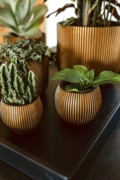 Capi Europe - Vaas Bol Groove XL - 39x33 - Goud - Bloempot Voor Binnen - Opening ⌀24 - GVGB270 -Tuin En Buiten 800x1200 64