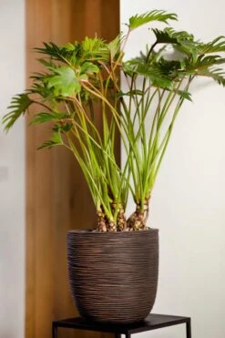 Capi Europe - Bloempot Bol Rib NL - 43x41 - Antraciet - Voor Binnen En Buiten - KOFZ933 -Tuin En Buiten 800x1200 65