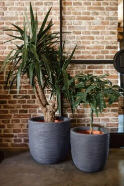 Capi Europe - Bloempot Bol Rib NL - 43x41 - Antraciet - Voor Binnen En Buiten - KOFZ933 -Tuin En Buiten 800x1200 66