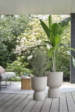 Elho Pure Coupe 41 - Bloempot Voor Binnen & Buiten - Ø 41.3 X H 57.9 Cm - Beige/Balanced Beige -Tuin En Buiten 800x1200 67