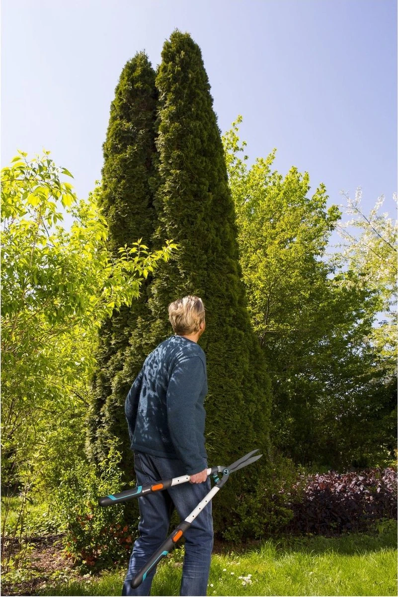 GARDENA TeleCut Heggenschaar - Telescopische Handgrepen Van 70-90 Cm 8 GARDENA TeleCut Heggenschaar - Telescopische Handgrepen Van 70-90 Cm - Afbeelding 8