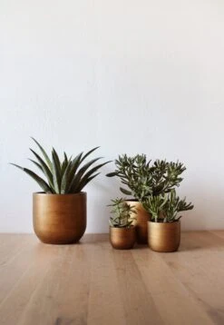 Capi Europe - Set Van 4 - Bloempot Binnen - Retro - - Goud - Bloempot Voor Binnen - BOX-BRTG-4 -Tuin En Buiten 829x1200