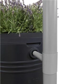Elho Green Basics Regenton - Regenton - Living Black - Buiten - 200 Liter 22 Elho Green Basics Regenton - Regenton - Living Black - Buiten - 200 Liter -Tuin En Buiten 852x1200