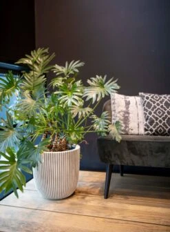 Capi Europe - Bloempot Bol Groove NL - 35x34 - Goud - Voor Binnen En Buiten - KGVGB932 -Tuin En Buiten 883x1200 2