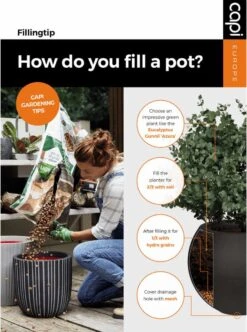 Capi Europe - Vaas Elegant Laag Groove NL - 46x58 - Goud - Voor Binnen En Buiten - KGVGB783 13 Capi Europe - Vaas Elegant Laag Groove NL - 46x58 - Goud - Voor Binnen En Buiten - KGVGB783 -Tuin En Buiten 892x1200 3