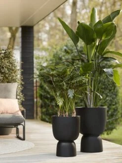 Elho Pure Coupe 41 - Bloempot Voor Binnen & Buiten - Ø 41.3 X H 57.9 Cm - Zwart/Zwart 24 Elho Pure Coupe 41 - Bloempot Voor Binnen & Buiten - Ø 41.3 X H 57.9 Cm - Zwart/Zwart -Tuin En Buiten 900x1200 11