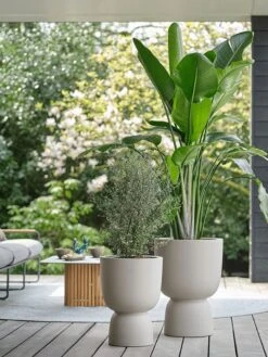 Elho Pure Coupe 35 - Bloempot Voor Binnen & Buiten - Ø 34.9 X H 49.0 Cm - Beige/Balanced Beige 29 Elho Pure Coupe 35 - Bloempot Voor Binnen & Buiten - Ø 34.9 X H 49.0 Cm - Beige/Balanced Beige -Tuin En Buiten 900x1200 13