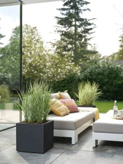 Elho Vivo Next Vierkant 40 - Plantenbak Voor Binnen & Buiten - Ø 39.0 X H 37.9 Cm - Zwart/Living Black 27 Elho Vivo Next Vierkant 40 - Plantenbak Voor Binnen & Buiten - Ø 39.0 X H 37.9 Cm - Zwart/Living Black -Tuin En Buiten 900x1200 6