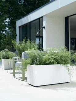 Elho Vivo Matt Finish Lang Wielen 90 - Grote Staande Plantenbak Voor Binnen & Buiten - Gemaakt Van Gereycled Plastic - L 39 X W 88 X H 41 Cm - Zwart 18 Elho Vivo Matt Finish Lang Wielen 90 - Grote Staande Plantenbak Voor Binnen & Buiten - Gemaakt Van Gereycled Plastic - L 39 X W 88 X H 41 Cm - Zwart -Tuin En Buiten 900x1200 7