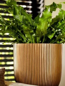 Capi Europe - Bloempot Bol Groove - 23x21 - Goud - Bloempot Voor Binnen - BGVGB134 -Tuin En Buiten 900x1200 9