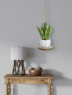 Set Van 2 Boomstam Rond Wandrek Plantenhangers - Boho Jute Houten Plantenrek - Hangpot Voor Binnen/Buiten - Hangende Bloempot Plank - Hangplant Houder - Bohemian Macrame Stijl Wandhanger - Hangplank Plant Hanger - Planthanger - Ø Rond 25-20cm -Tuin En Buiten 912x1200 1