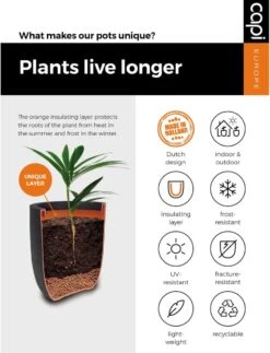 Capi Europe - Bloempot Bol Smooth NL - 35x34 - Zwart - Voor Binnen En Buiten - KBL932 -Tuin En Buiten 917x1200