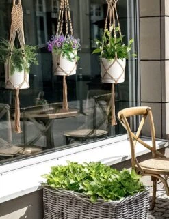 4 Stuks Luxe Jute Plantenhangers - Boho Handgeweven Katoen Hangpot Voor Binnen/Buiten - Hangende Bloempot Met Kralen - Macramé Touw/Koord Hangplant Houder - Bohemian Wandhanger Decoratie - Plant Hanger - Verticale Tuin Bloempothouder Planthanger 10 4 Stuks Luxe Jute Plantenhangers - Boho Handgeweven Katoen Hangpot Voor Binnen/Buiten - Hangende Bloempot Met Kralen - Macramé Touw/Koord Hangplant Houder - Bohemian Wandhanger Decoratie - Plant Hanger - Verticale Tuin Bloempothouder Planthanger -Tuin En Buiten 923x1200 2