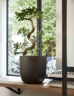 Capi Europe - Bloempot Bol Smooth NL - 35x34 - Zwart - Voor Binnen En Buiten - KBL932 -Tuin En Buiten 923x1200