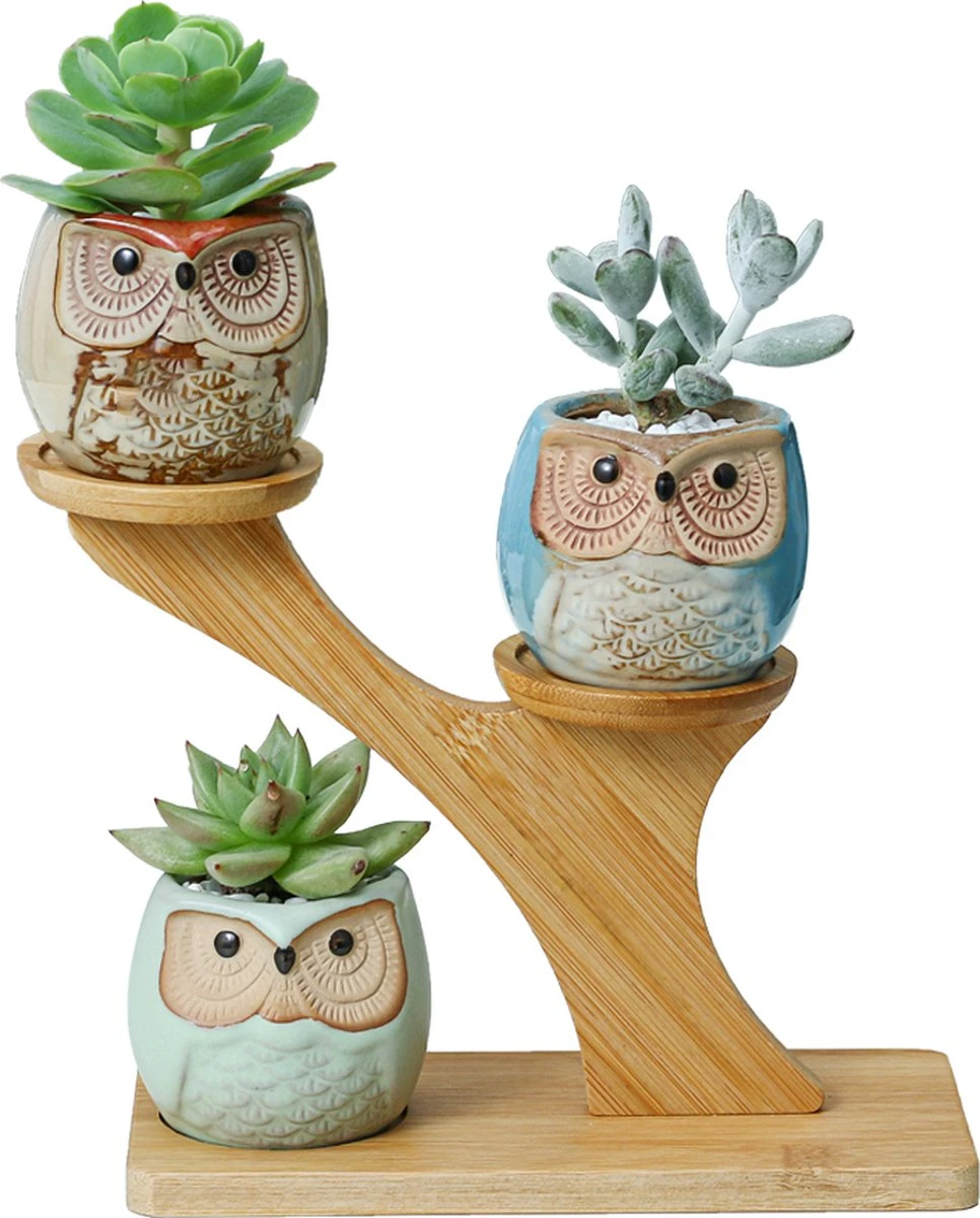 Luxe Bamboe Houten Boom Met 3 Keramiek Uil Bloempotten/Plantenpotten Op Standaard/Voet Voor Binnen En Buiten - Modern Design Bloempot/Plantenpot Op Poten/Pootjes-Plantenbak Mini Cactus Nep Plant Pot Houder - Kleine Bloembakken Plantenrek/Plantenkurk 1 Luxe Bamboe Houten Boom Met 3 Keramiek Uil Bloempotten/Plantenpotten Op Standaard/Voet Voor Binnen En Buiten - Modern Design Bloempot/Plantenpot Op Poten/Pootjes-Plantenbak Mini Cactus Nep Plant Pot Houder - Kleine Bloembakken Plantenrek/Plantenkurk